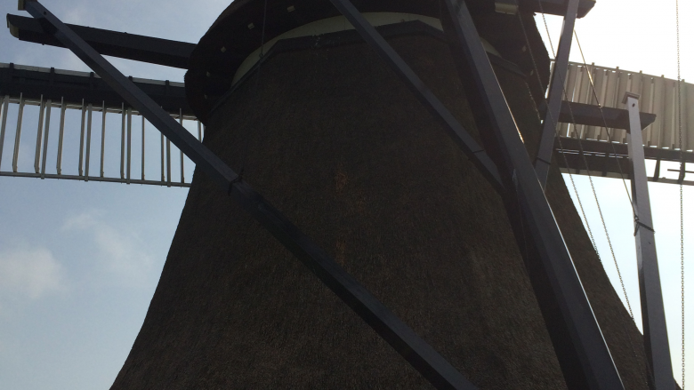 Windmühle in Oudega