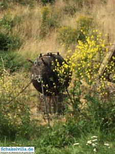 Abschlussdeich 13 Miene im Kazemattenmuseum am Abschlussdeich - Schakelvilla Ferienhaus für Familien am IJsselmeer in Makkum