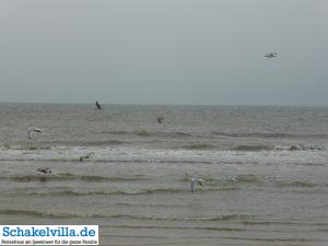 Julianadorp/Den Helder 9 Nordseewellen in Julianadorp - Schakelvilla Ferienhaus für die ganze Familie