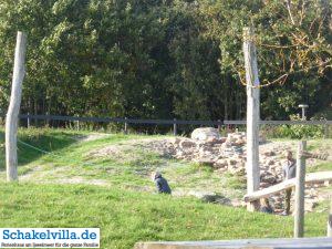 Julianadorp/Den Helder 26 Wasserspielplatz im de Heldersee Vallei bei Julianadorp - Schakelvilla Ferienhaus für die ganze Familie