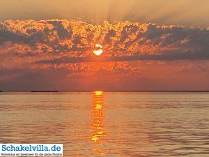 Sonnenuntergang auf dem IJsselmeer 12 Sonnenuntergang am IJsselmeer - mit dem Boot von unserem familienfreundlichen Ferienhaus schakelvilla aus sind es nur fünf Minuten bis hierhin