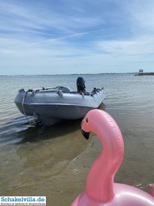 andere Strände erkunden 5 Strand bei Kornwerderzand - normalerweise voller Kitesurfer - Ausflug mit dem Boot Whaly von unserem familienfreundlichen Ferienhaus schakelvilla über das IJsselmeer zum Abschlussdeich
