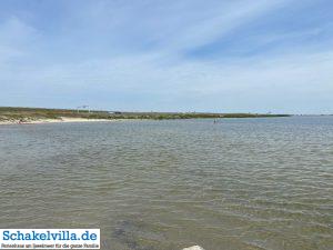 andere Strände erkunden 8 Strand bei Kornwerderzand - normalerweise voller Kitesurfer - Ausflug mit dem Boot Whaly von unserem familienfreundlichen Ferienhaus schakelvilla über das IJsselmeer zum Abschlussdeich