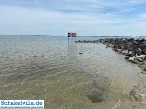 andere Strände erkunden 9 Strand bei Kornwerderzand - normalerweise voller Kitesurfer - Ausflug mit dem Boot Whaly von unserem familienfreundlichen Ferienhaus schakelvilla über das IJsselmeer zum Abschlussdeich
