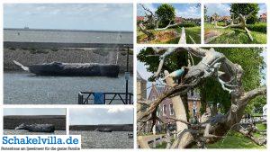 Franeker 52 11 Fountainen Harlingen und Hindeloopen in Friesland - Schakelvilla Ferienhaus am IJselmeer