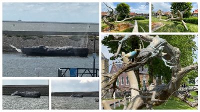 11 Fountainen Harlingen und Hindeloopen in Friesland - Schakelvilla Ferienhaus am IJselmeer