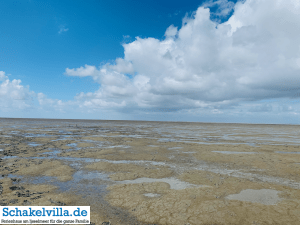 Franeker 55 Westhoek Waddenzee - Wattwanderung in Friesland - Schakelvilla - Ferienhaus am IJsselmeer