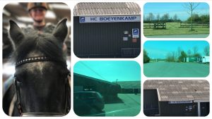 Franeker 57 Reitschule Hippisch Centrum HC Boeyenkamp - Reiten in der Nähe von Makkum - Ferienhaus Schakelvilla am IJsselmeer