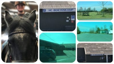 Reitschule Hippisch Centrum HC Boeyenkamp - Reiten in der Nähe von Makkum - Ferienhaus Schakelvilla am IJsselmeer