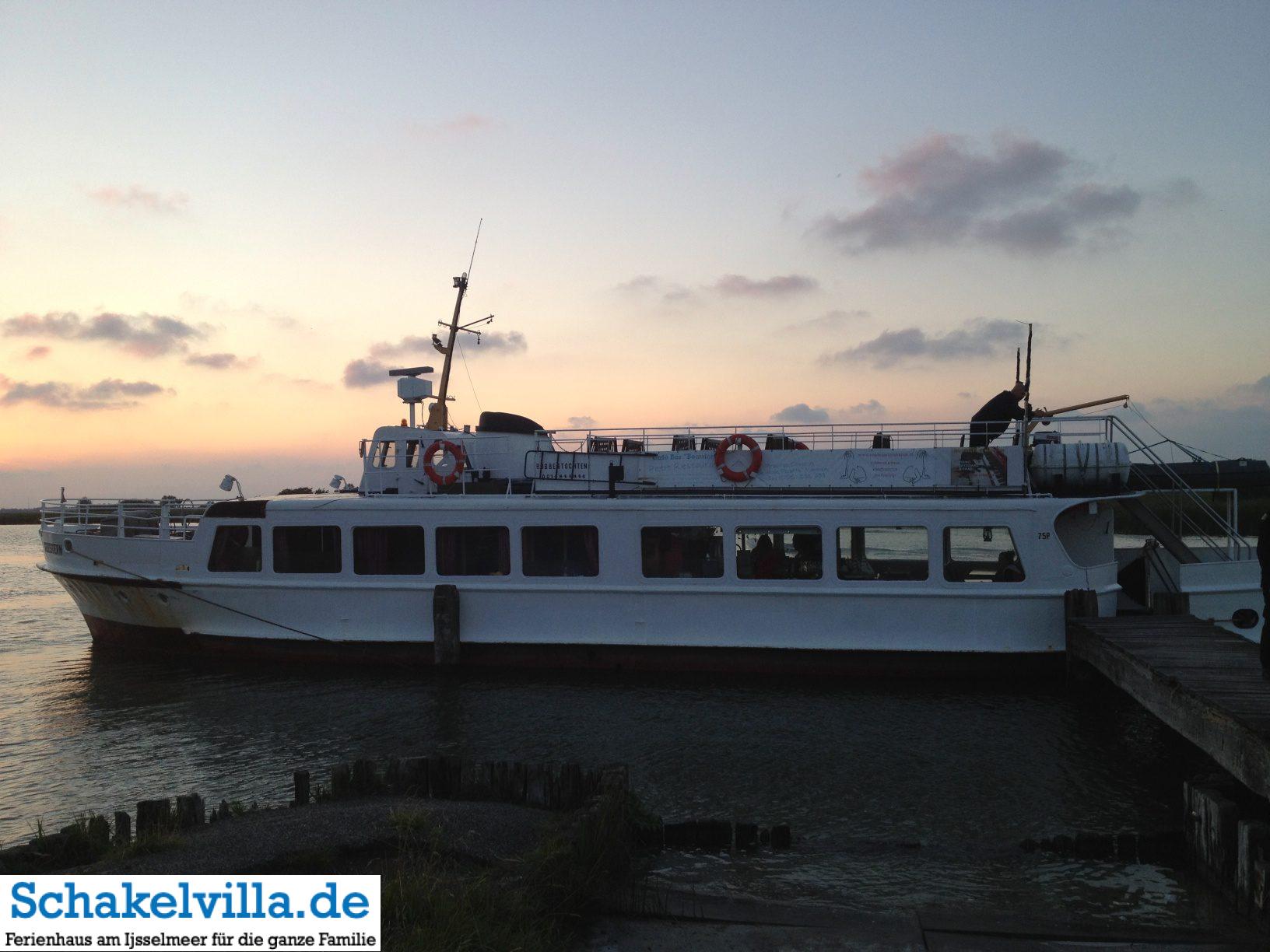 Robbenfahrt mit der Seestern - Schakelvilla Ferienhaus mit Sauna am IJsselmeer