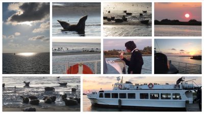 Robbenfahrt mit der Seestern 1 Robbenfahrt mit der Seestern - Schakelvilla Ferienhaus mit Sauna am IJsselmeer