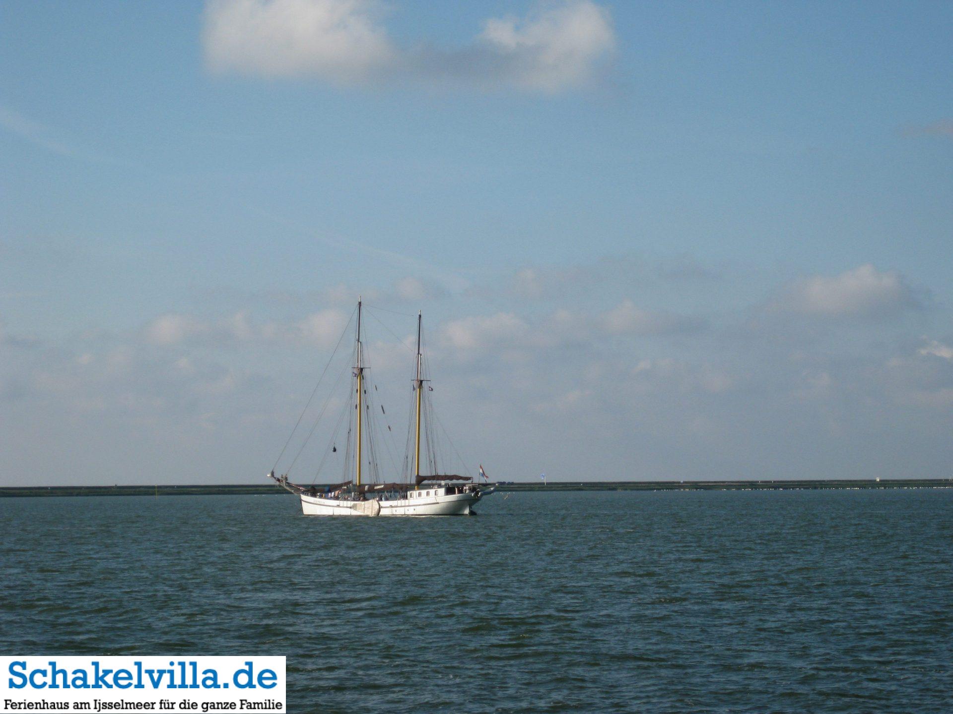 Robbenfahrt mit der Seestern - Schakelvilla Ferienhaus mit Sauna am IJsselmeer - Segelboot