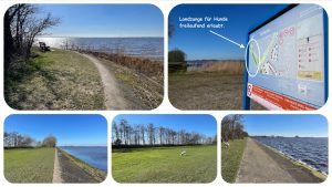 Hunde 10 Hundefreilaufgebiet am Rande von Terherne - Schakelvilla Ferienhaus mit Sauna in Makkum am IJsselmeer