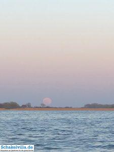 riesiger Vollmond geht auf 47 riesiger Vollmond geht auf - familienfreundliches Ferienhaus mit Sauna und Ruderboot in Makkum am IJsselmeer