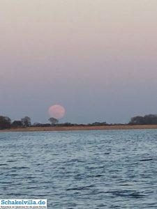 riesiger Vollmond geht auf 48 riesiger Vollmond geht auf - familienfreundliches Ferienhaus mit Sauna und Ruderboot in Makkum am IJsselmeer
