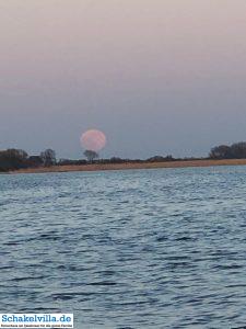 riesiger Vollmond geht auf 49 riesiger Vollmond geht auf - familienfreundliches Ferienhaus mit Sauna und Ruderboot in Makkum am IJsselmeer