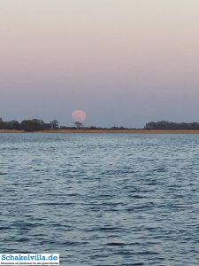 riesiger Vollmond geht auf 50 riesiger Vollmond geht auf - familienfreundliches Ferienhaus mit Sauna und Ruderboot in Makkum am IJsselmeer