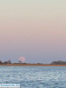 riesiger Vollmond geht auf 52 riesiger Vollmond geht auf - familienfreundliches Ferienhaus mit Sauna und Ruderboot in Makkum am IJsselmeer