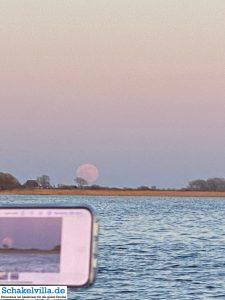 riesiger Vollmond geht auf 53 riesiger Vollmond geht auf - familienfreundliches Ferienhaus mit Sauna und Ruderboot in Makkum am IJsselmeer