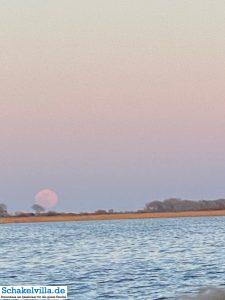 riesiger Vollmond geht auf 54 riesiger Vollmond geht auf - familienfreundliches Ferienhaus mit Sauna und Ruderboot in Makkum am IJsselmeer
