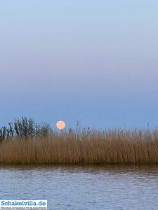 riesiger Vollmond geht auf 34 riesiger Vollmond geht auf - familienfreundliches Ferienhaus mit Sauna und Ruderboot in Makkum am IJsselmeer