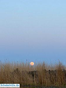 riesiger Vollmond geht auf 46 riesiger Vollmond geht auf - familienfreundliches Ferienhaus mit Sauna und Ruderboot in Makkum am IJsselmeer