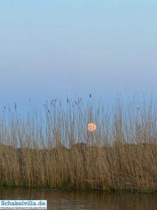 riesiger Vollmond geht auf 45 riesiger Vollmond geht auf - familienfreundliches Ferienhaus mit Sauna und Ruderboot in Makkum am IJsselmeer