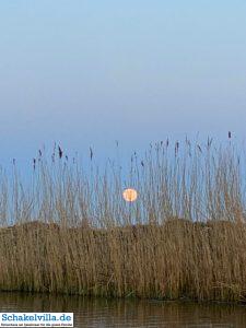 riesiger Vollmond geht auf 44 riesiger Vollmond geht auf - familienfreundliches Ferienhaus mit Sauna und Ruderboot in Makkum am IJsselmeer