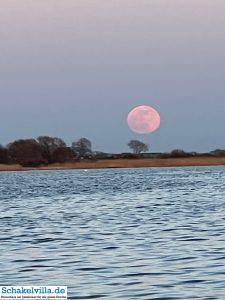 riesiger Vollmond geht auf 31 riesiger Vollmond geht auf - familienfreundliches Ferienhaus mit Sauna und Ruderboot in Makkum am IJsselmeer