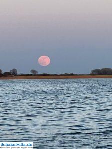 riesiger Vollmond geht auf 32 riesiger Vollmond geht auf - familienfreundliches Ferienhaus mit Sauna und Ruderboot in Makkum am IJsselmeer