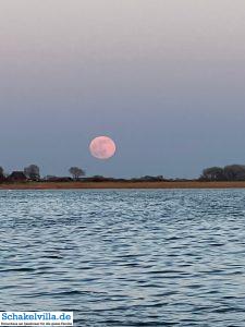 riesiger Vollmond geht auf 33 riesiger Vollmond geht auf - familienfreundliches Ferienhaus mit Sauna und Ruderboot in Makkum am IJsselmeer