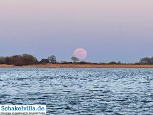 riesiger Vollmond geht auf 36 riesiger Vollmond geht auf - familienfreundliches Ferienhaus mit Sauna und Ruderboot in Makkum am IJsselmeer