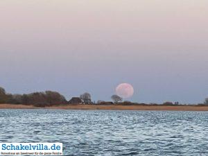 riesiger Vollmond geht auf 38 riesiger Vollmond geht auf - familienfreundliches Ferienhaus mit Sauna und Ruderboot in Makkum am IJsselmeer
