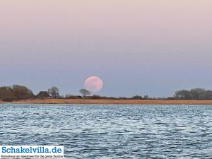 riesiger Vollmond geht auf 55 riesiger Vollmond geht auf - familienfreundliches Ferienhaus mit Sauna und Ruderboot in Makkum am IJsselmeer