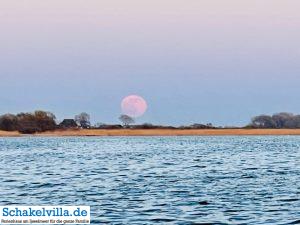 riesiger Vollmond geht auf 28 riesiger Vollmond geht auf - familienfreundliches Ferienhaus mit Sauna und Ruderboot in Makkum am IJsselmeer