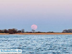 riesiger Vollmond geht auf 27 riesiger Vollmond geht auf - familienfreundliches Ferienhaus mit Sauna und Ruderboot in Makkum am IJsselmeer