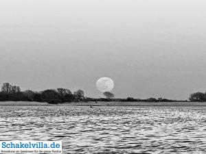 riesiger Vollmond geht auf 25 riesiger Vollmond geht auf - familienfreundliches Ferienhaus mit Sauna und Ruderboot in Makkum am IJsselmeer