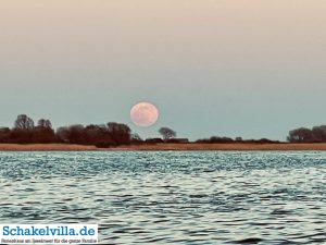 riesiger Vollmond geht auf 23 riesiger Vollmond geht auf - familienfreundliches Ferienhaus mit Sauna und Ruderboot in Makkum am IJsselmeer