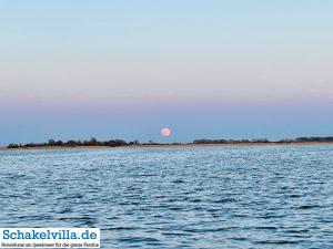 riesiger Vollmond geht auf 21 riesiger Vollmond geht auf - familienfreundliches Ferienhaus mit Sauna und Ruderboot in Makkum am IJsselmeer