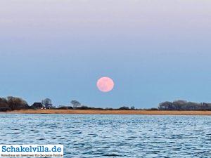 riesiger Vollmond geht auf 12 riesiger Vollmond geht auf - familienfreundliches Ferienhaus mit Sauna und Ruderboot in Makkum am IJsselmeer