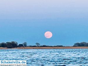 riesiger Vollmond geht auf 15 riesiger Vollmond geht auf - familienfreundliches Ferienhaus mit Sauna und Ruderboot in Makkum am IJsselmeer
