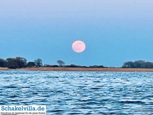 riesiger Vollmond geht auf 16 riesiger Vollmond geht auf - familienfreundliches Ferienhaus mit Sauna und Ruderboot in Makkum am IJsselmeer