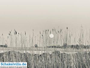 riesiger Vollmond geht auf 11 riesiger Vollmond geht auf - familienfreundliches Ferienhaus mit Sauna und Ruderboot in Makkum am IJsselmeer