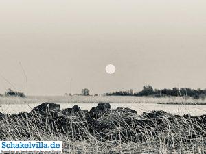 riesiger Vollmond geht auf 10 riesiger Vollmond geht auf - familienfreundliches Ferienhaus mit Sauna und Ruderboot in Makkum am IJsselmeer