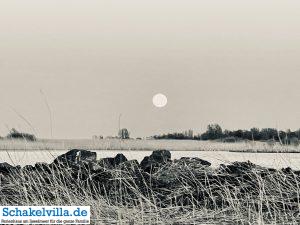 riesiger Vollmond geht auf 9 riesiger Vollmond geht auf - familienfreundliches Ferienhaus mit Sauna und Ruderboot in Makkum am IJsselmeer