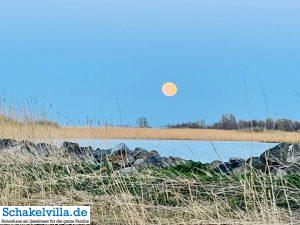 riesiger Vollmond geht auf 8 riesiger Vollmond geht auf - familienfreundliches Ferienhaus mit Sauna und Ruderboot in Makkum am IJsselmeer