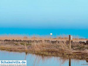 riesiger Vollmond geht auf 6 riesiger Vollmond geht auf - familienfreundliches Ferienhaus mit Sauna und Ruderboot in Makkum am IJsselmeer