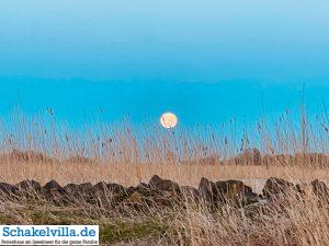 riesiger Vollmond geht auf 5 riesiger Vollmond geht auf - familienfreundliches Ferienhaus mit Sauna und Ruderboot in Makkum am IJsselmeer