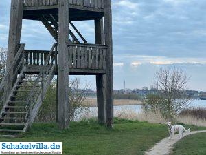 Hundegebiet Makkum - Eindrücke 20 Aussichtsturm im Hundegebiet Makkum familienfreundliches Ferienhaus Schakelvilla mit Ruderboot und Sauna in Makkum am IJsselmeer