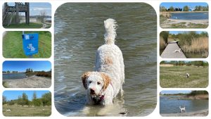 Hunde 6 Hundegebiet Makkum familienfreundliches Ferienhaus Schakelvilla mit Ruderboot und Sauna in Makkum am IJsselmeer